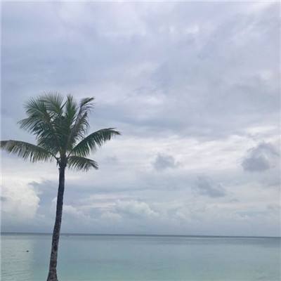 天博tb·体育综合下载手机版